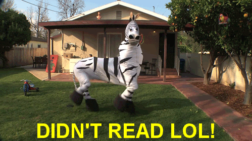 Funny animated gif of a dancing zebra with the text "didn't read LOL" displayed at the bottom.